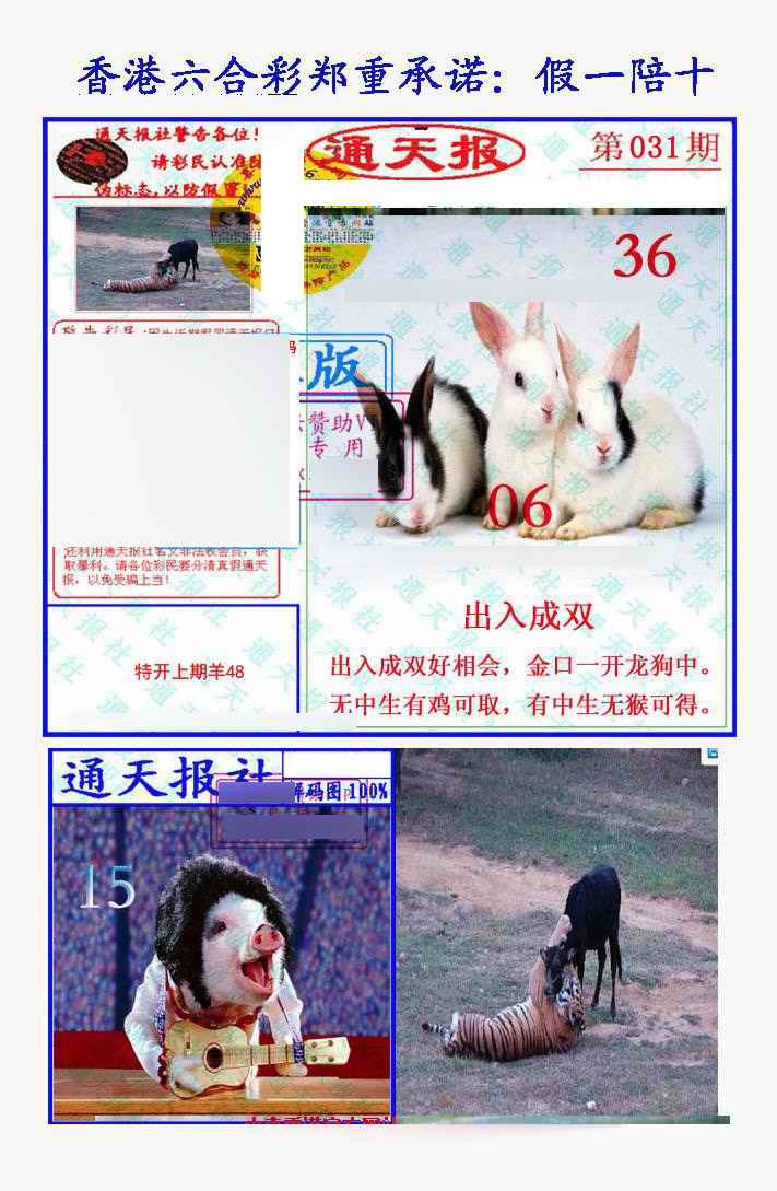 031期假一陪十通天报[图]